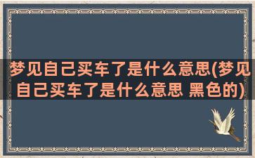 梦见自己买车了是什么意思(梦见自己买车了是什么意思 黑色的)